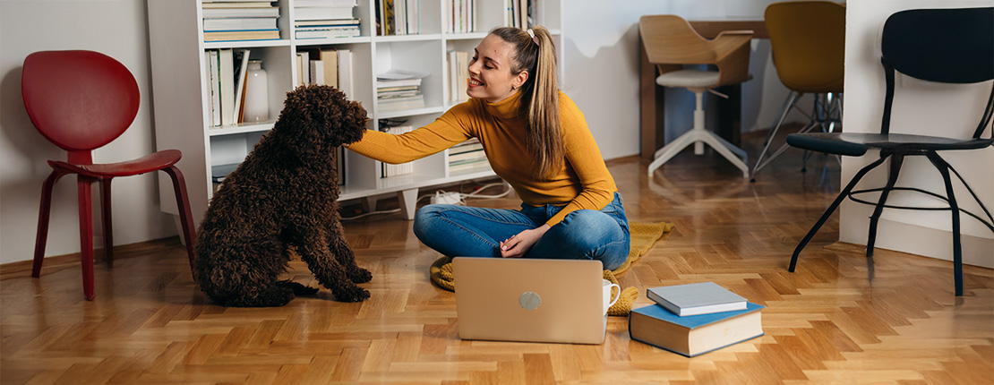 Assicurazione animali domestici: quando e perché stipularla